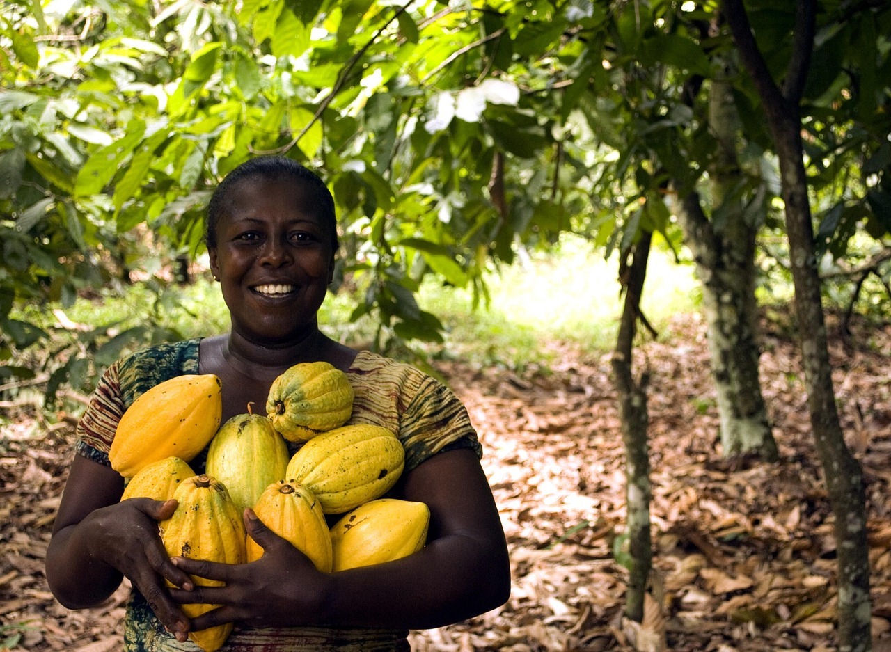 Cacao farm in Costa Rica